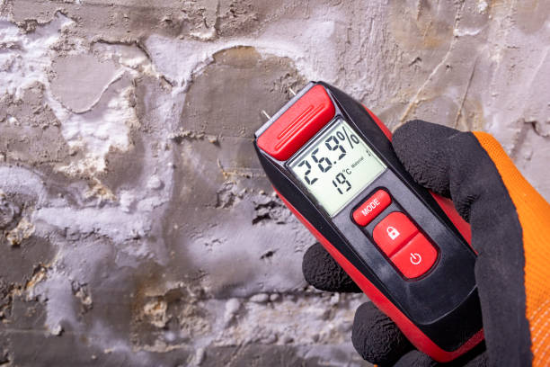 Mold Testing and Removal in Greentown, IN