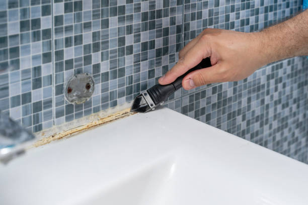 Best Commercial Mold Removal  in Greentown, IN