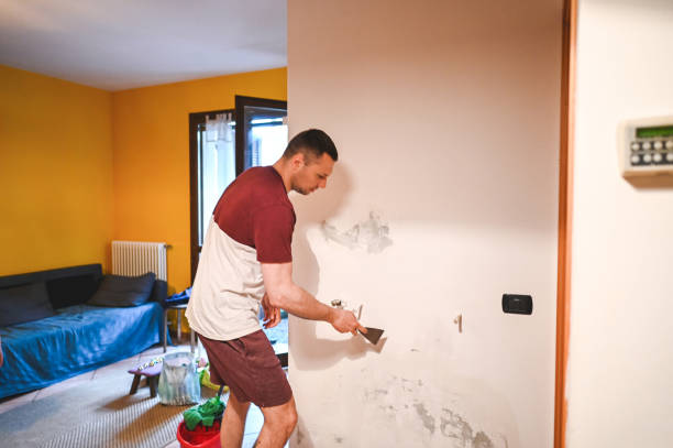 Trusted Greentown, IN Mold Removal Experts